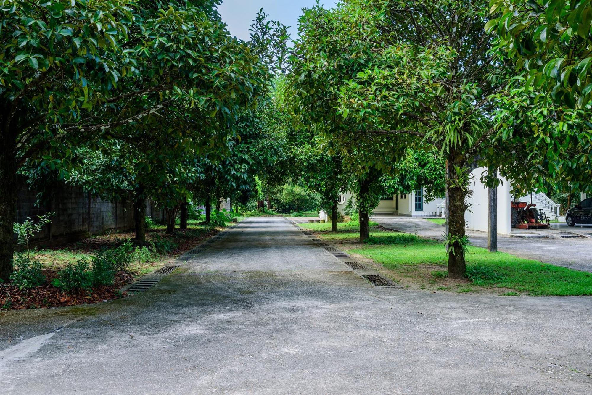 Bann Mangkud Khaolak Βίλα Καο Λακ Εξωτερικό φωτογραφία
